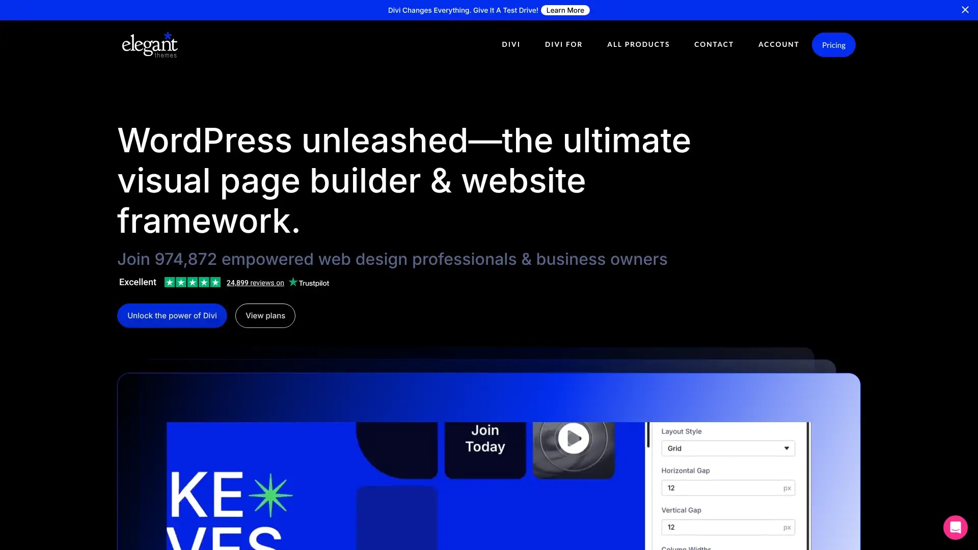 Divi (Elegant Themes) screenshot