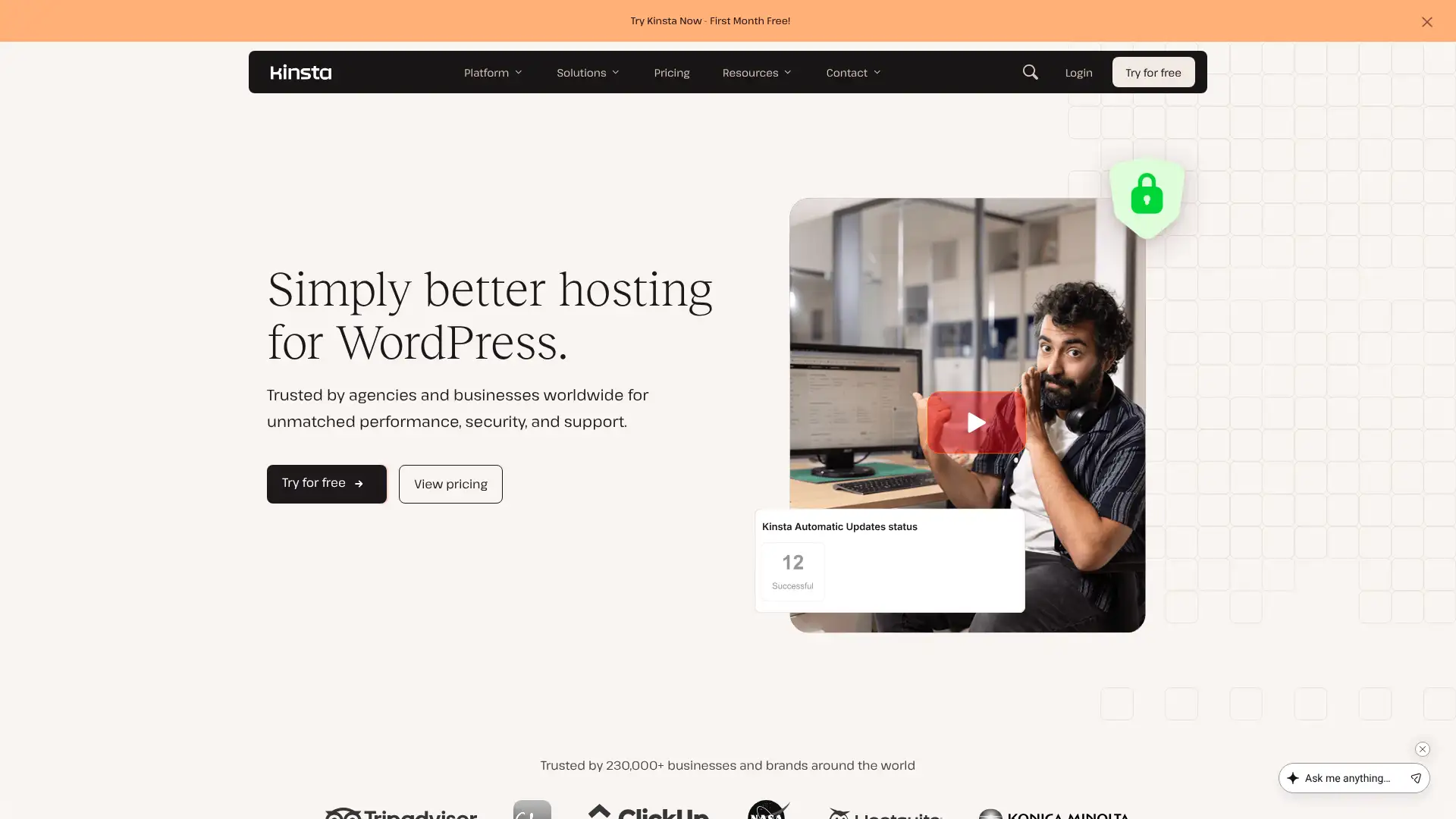 Kinsta screenshot