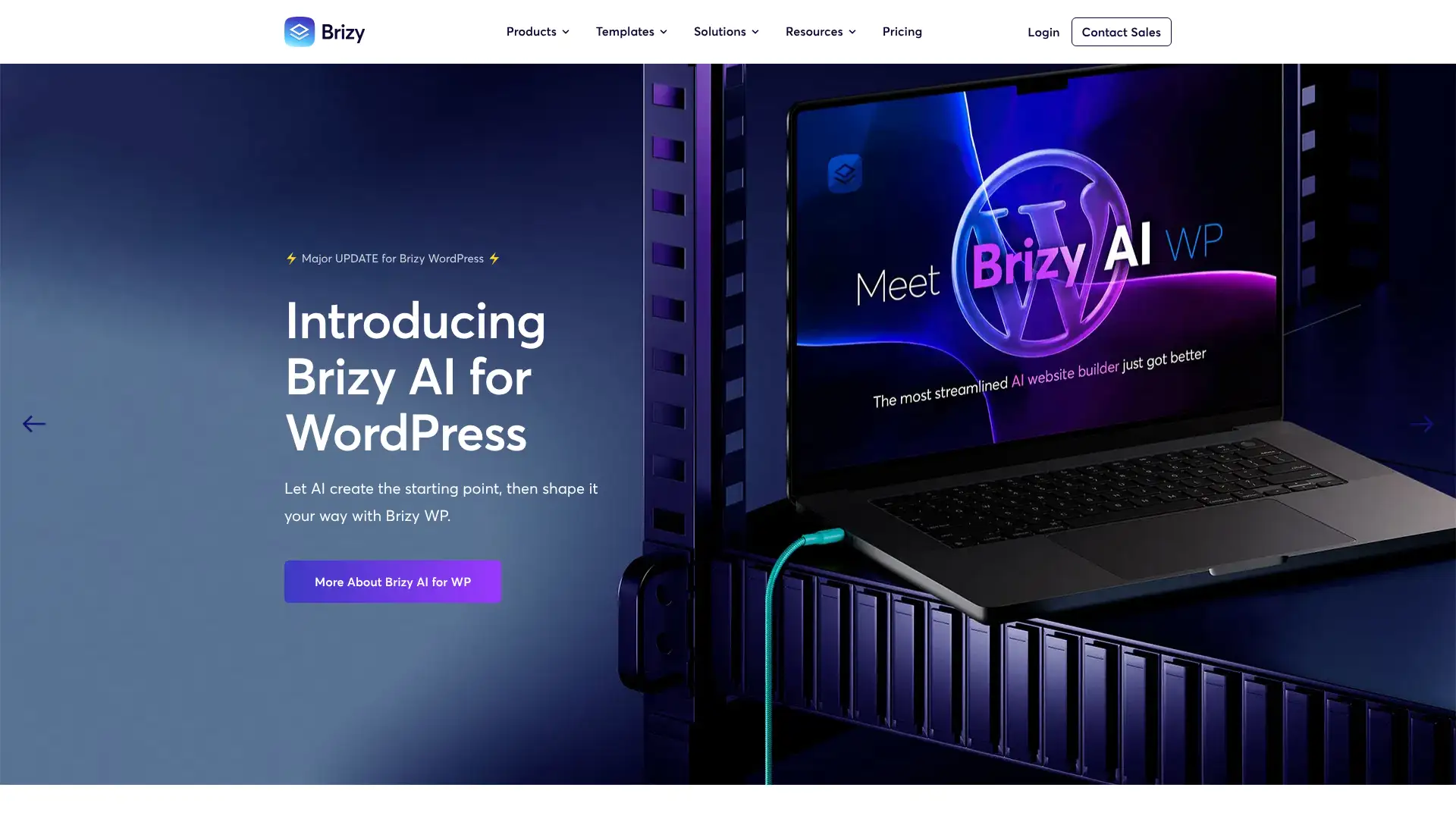 Brizy screenshot
