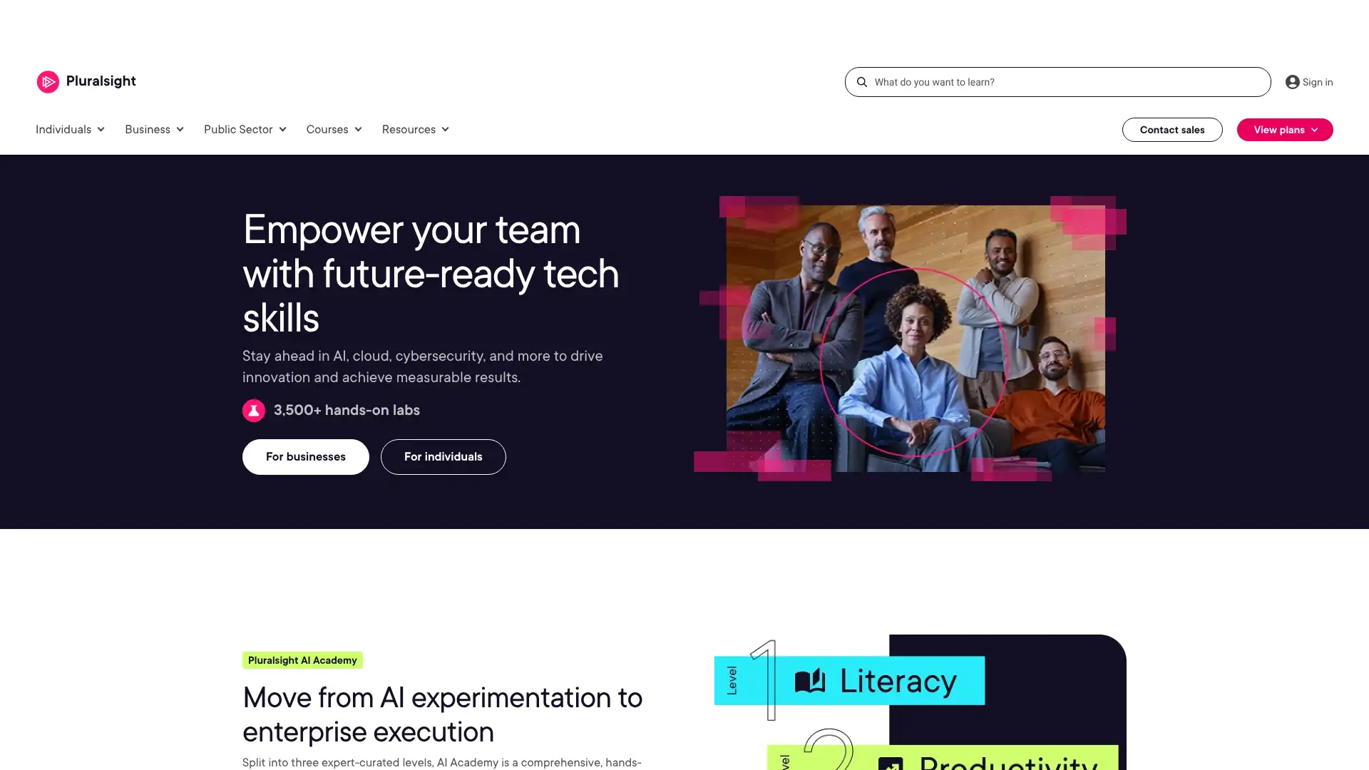 Pluralsight screenshot